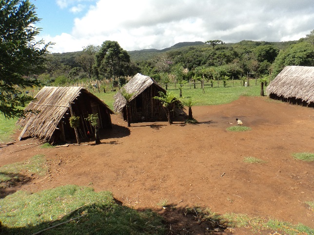 Percepções em Educação Ambiental no Projeto Ar, Água e Terra: Vida e Cultura Guarani