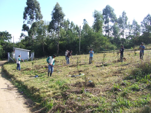 Projeto promove mutirão em aldeia guarani