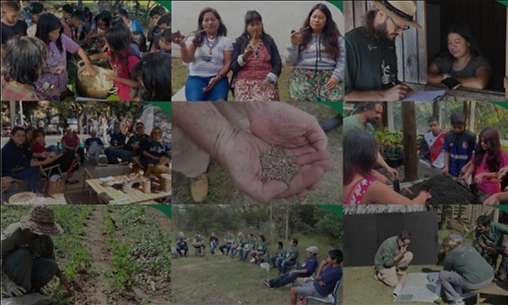 Imagens de Atividade no IECAM, 2025.